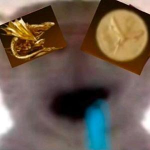 和平精英秋烁头像