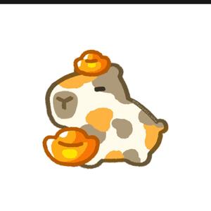 Dfyoje涵宝头像
