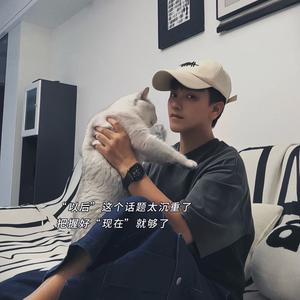 三只猫咪的铲屎官头像
