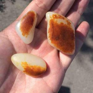 老李聊籽玉头像