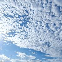 无忧无虑鸡王团头像