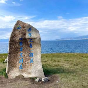 岷县野生本草头像