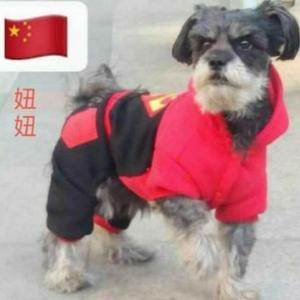 我心头的痣妞妞头像