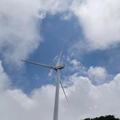 杨杨蛋蛋馍馍头像