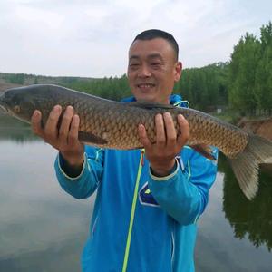 东哥头像