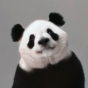 紫凝的猫头像