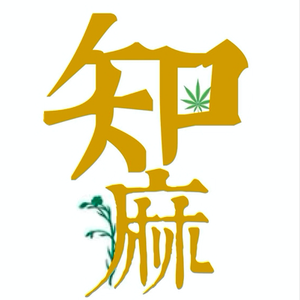 知麻ZHIMA头像