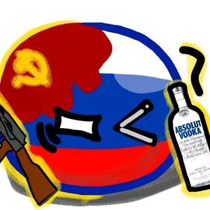 苏维埃社会主义丶俄罗斯丶山东头像