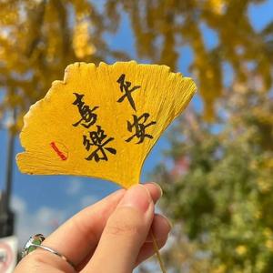 生活拾趣官头像