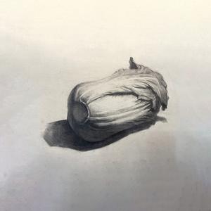 也行liuer头像