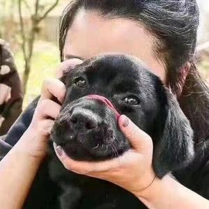 用户8374317146160头像