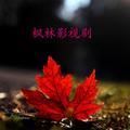 枫林影视剧头像