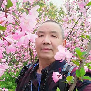 边陲绿洲1头像
