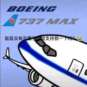 一架退网的737MAX头像