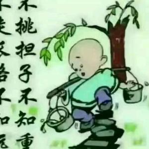 往后余生头像