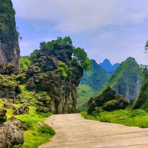 大叔非大师头像