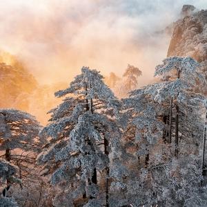 形象大师旅行摄世界头像