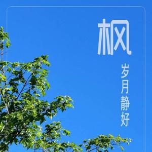 恋爱数码科技头像