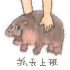 多彩辰星l头像