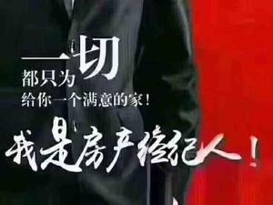 王先生一新房顾问头像