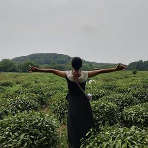 阔妈头像