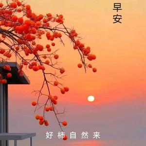 阅壮美山河头像