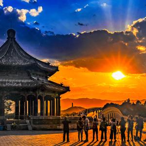 红玫瑰在美国头像
